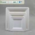 Disposable Biodegradable Sugarcane Square Dinner Paper Plate square